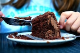 A close up of chocolate cake on a plate, with a person holding a fork.