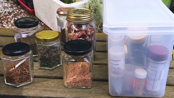 glass jars filled with plant seeds and a plastic tub