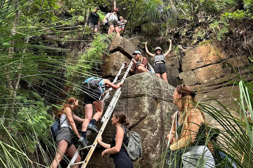 Women climbing a ladder up a rocky cliff.