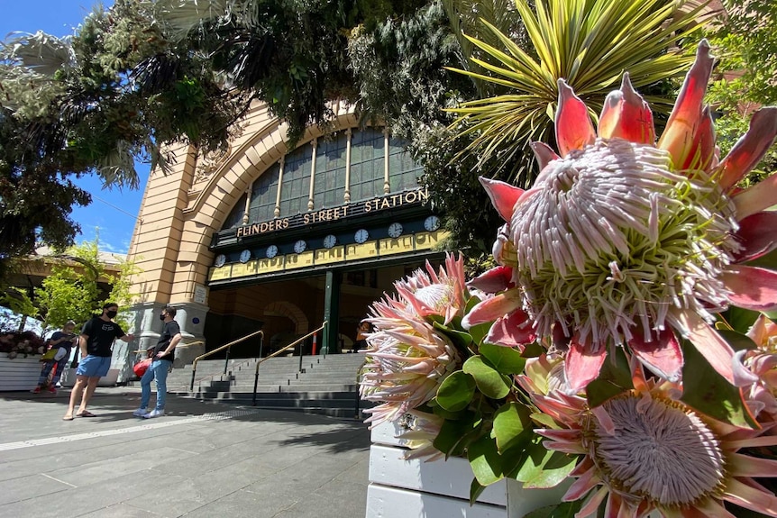 A floral installation outside Melbourne's Flinders Street Station.