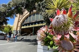 A floral installation outside Melbourne's Flinders Street Station.