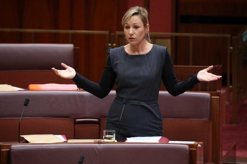 Larissa Waters holds her arms outstretched as she talks in the Senate