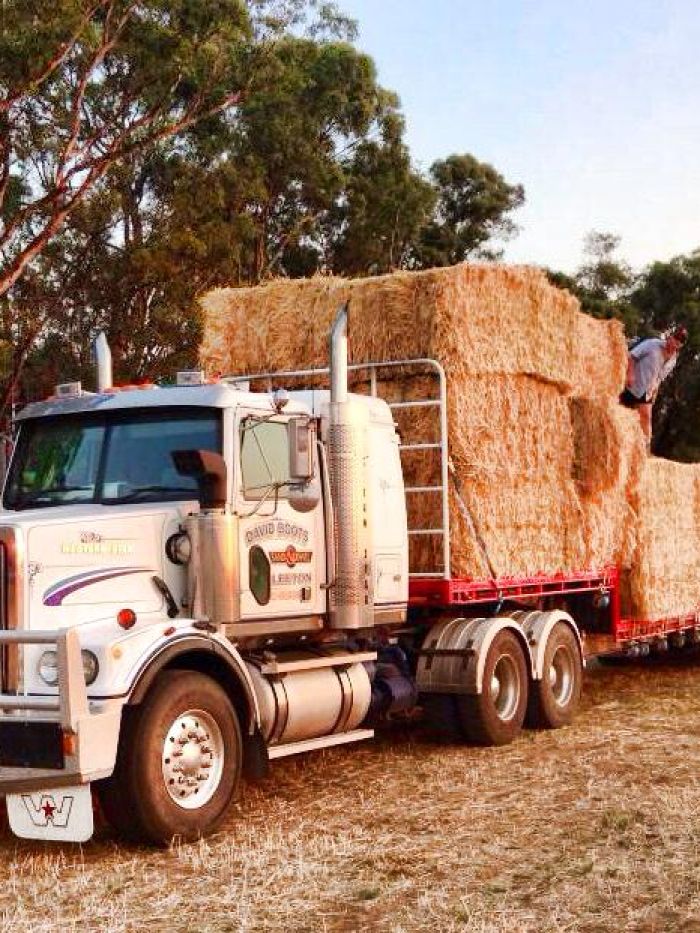 Fodder convoy for drought areas - ABC listen