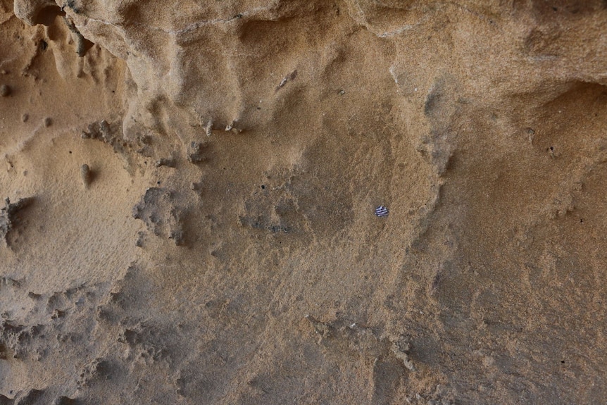 Close-up view of a sand layer containing shells.