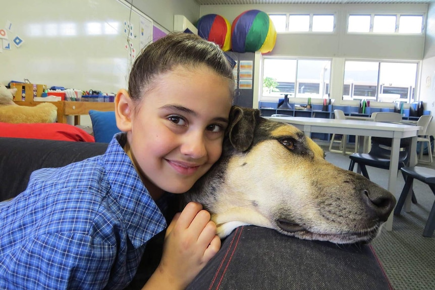 Amelie Petreske, 7, cuddling Clementine the great dane cross