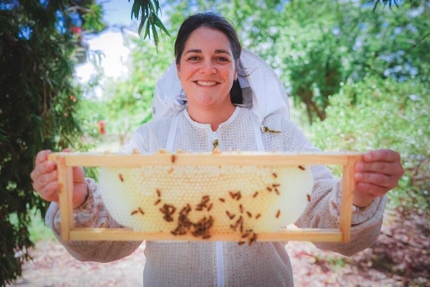 Apiarist Kerry Chambers holding up a hive of bees.