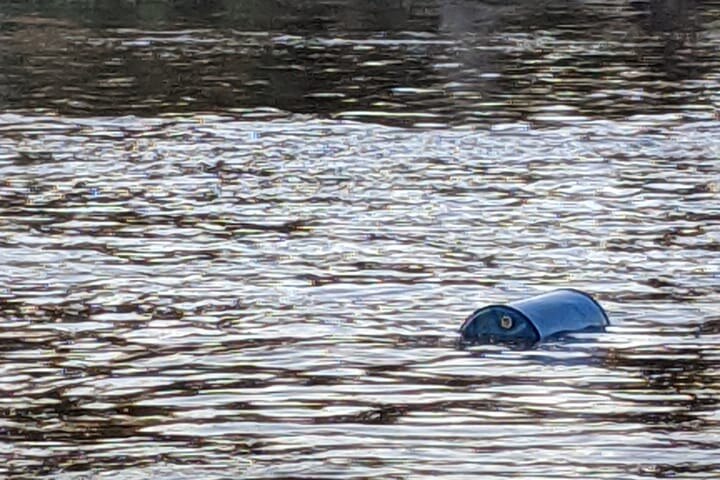 A blue tank floating in a river.