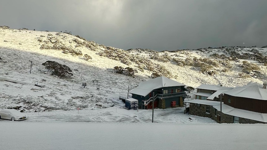 snow on the mountain