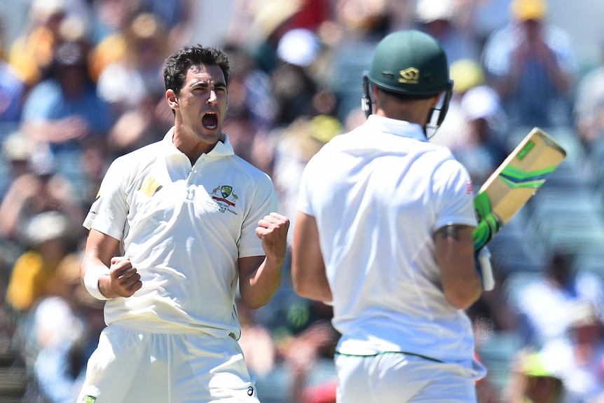 Mitchell Starc in ecstasy after taking wicket of Faf de Plessis