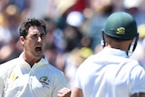 Mitchell Starc in ecstacy after taking wicket of Faf de Plessis