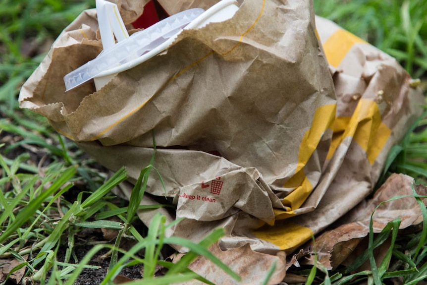 A paper bag containing a takeaway cup with plastic lid and straw sits crumpled in grass. Text on bag reads 'Keep it clean'.