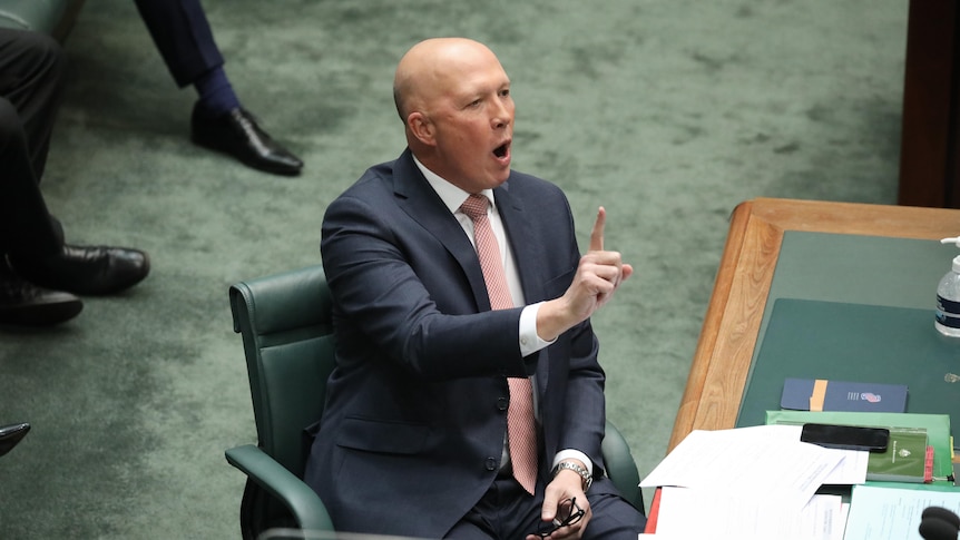 Peter Dutton dit que les libéraux n’assisteront pas au sommet national sur l’emploi du gouvernement