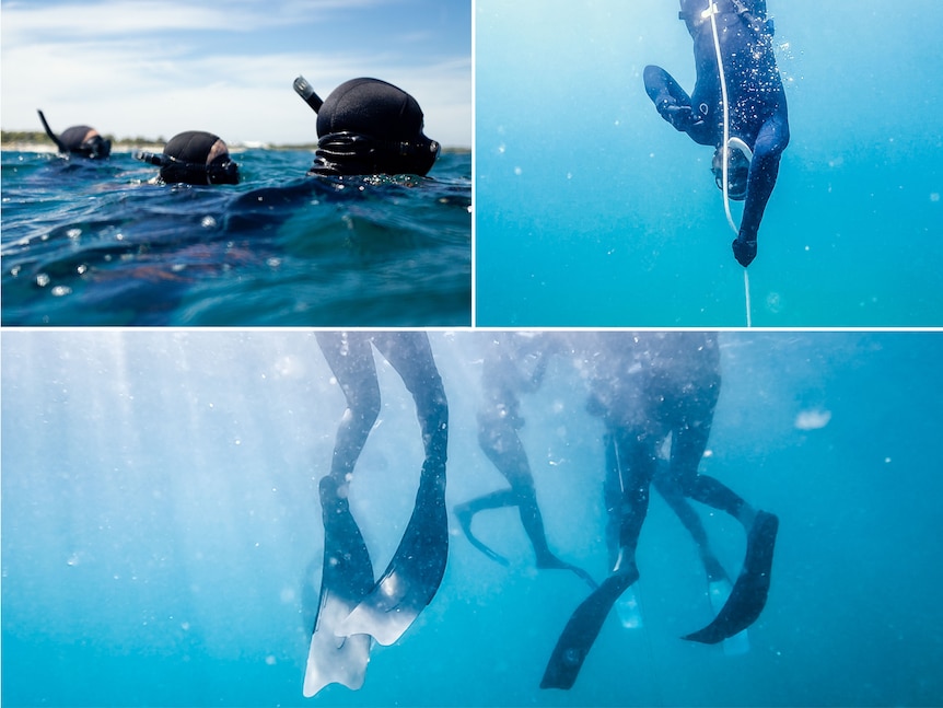 Composite image of people freediving in the ocean.