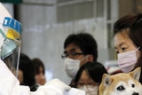 Official in radiation suit tests dog in Japan