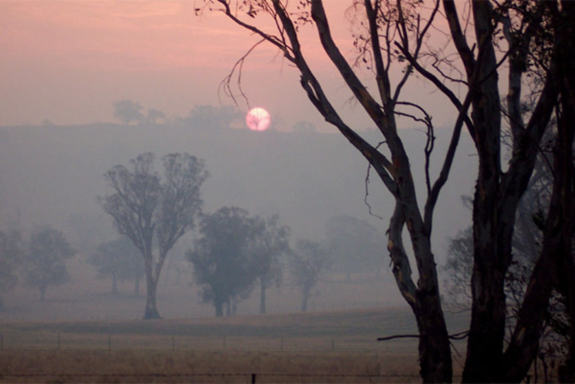 Smoke covered the hills at Mudgegonga, north-east of Melbourne