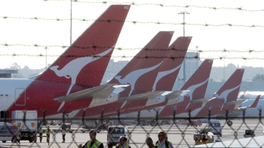Government to look at changing Qantas Sale Act