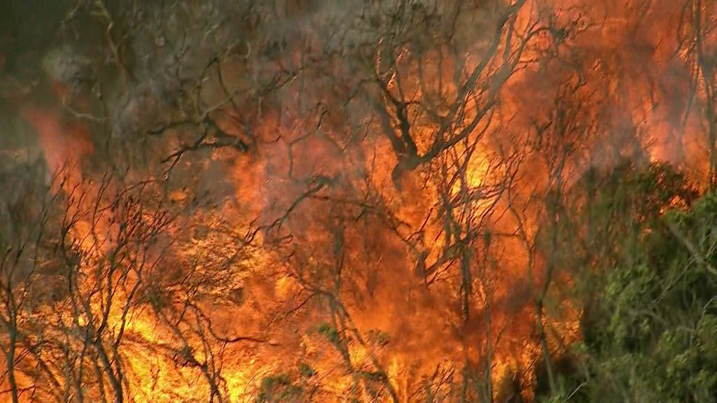 Bushfire on Sydney's Northern Beaches out of control - ABC News