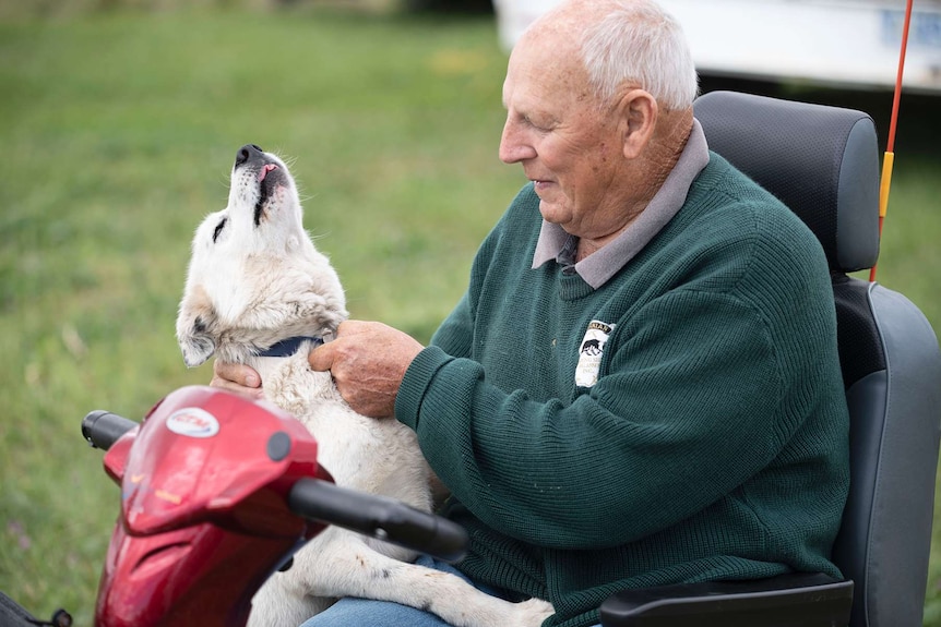 Malcolm Taylor with his former dog Sommerville Nell