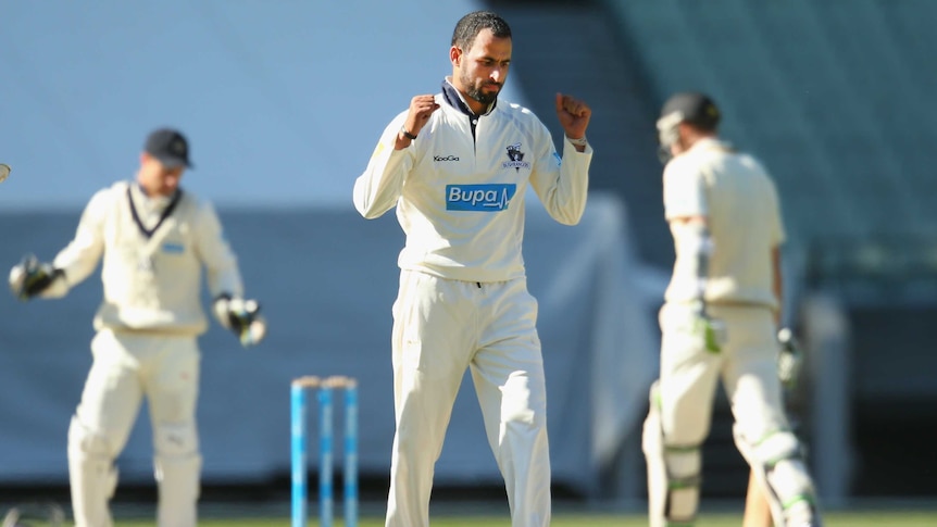 Victoria's Fawad Ahmed celebrates his sixth Sheffield Shield wicket against Western Australia.