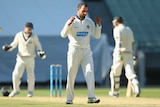 Victoria's Fawad Ahmed celebrates his sixth Sheffield Shield wicket against Western Australia.