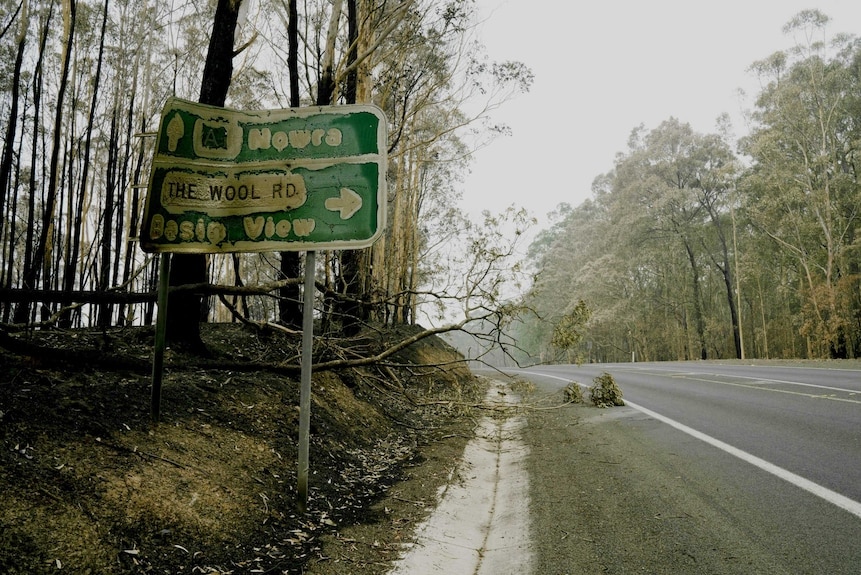 Road signs that have melted and lots of burnt trees.