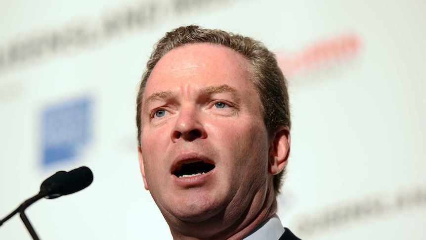 Christopher Pyne discusses the coalition's education plan