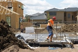 A worker carries a plank of wood on a construction site in north-west Sydney.