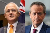 A composite of Malcolm Turnbull and Bill Shorten.