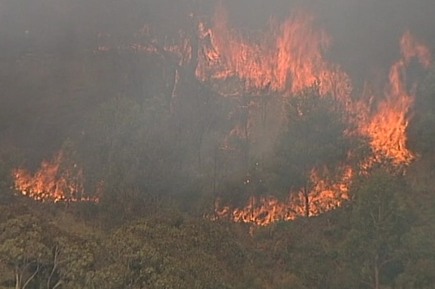 Flames engulf a forest near Buninyong.