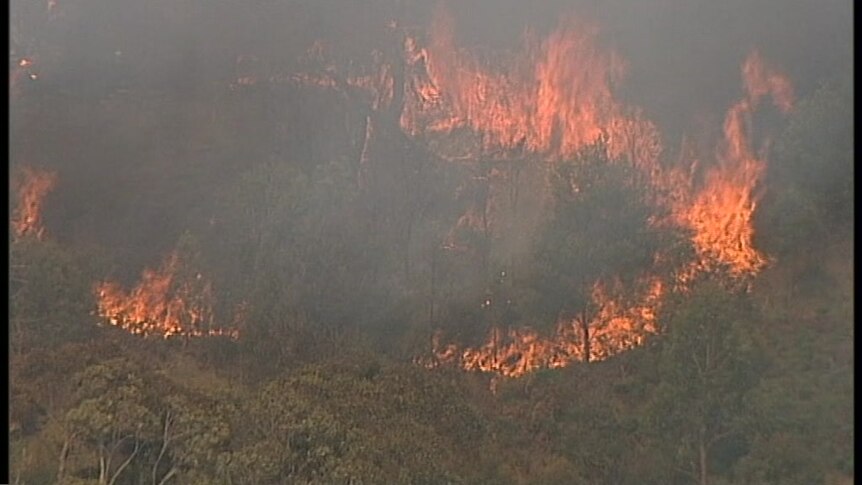 Flames engulf a forest near Buninyong.