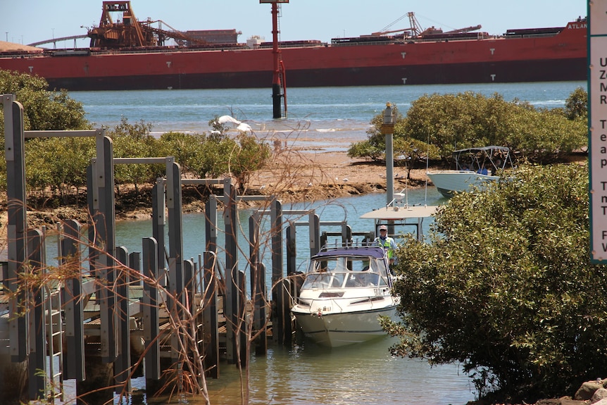 A boat navigates through mangroves next to a pier.