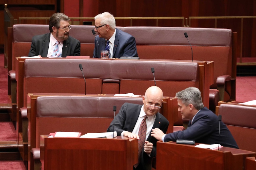 Derryn Hinch and Doug Cameron turn towards each other in the back row. Mathias Cormann leans in to David Leyonhjelm in the front