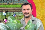 A graphic with vegetables and a photo of man to the right holding cabbage leaves.