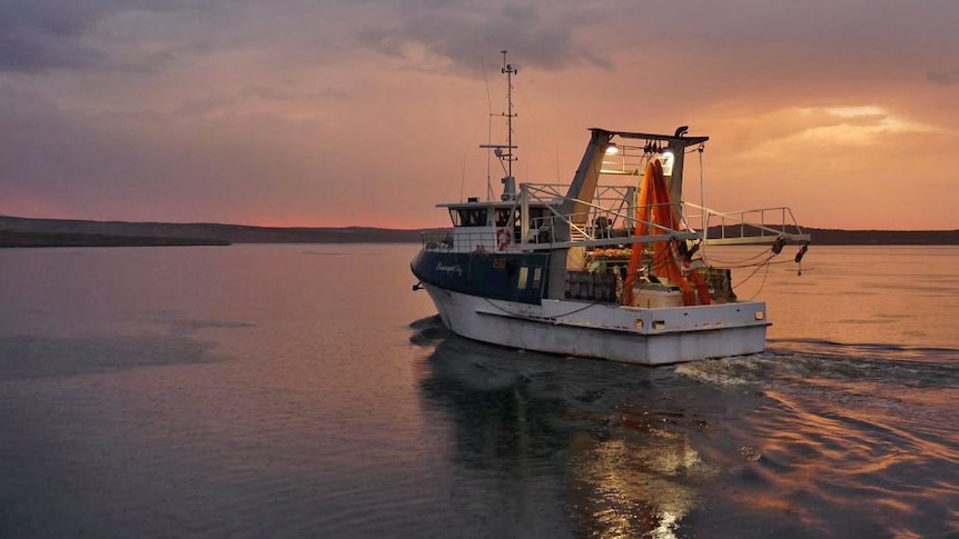 Fishing industry fears for the future