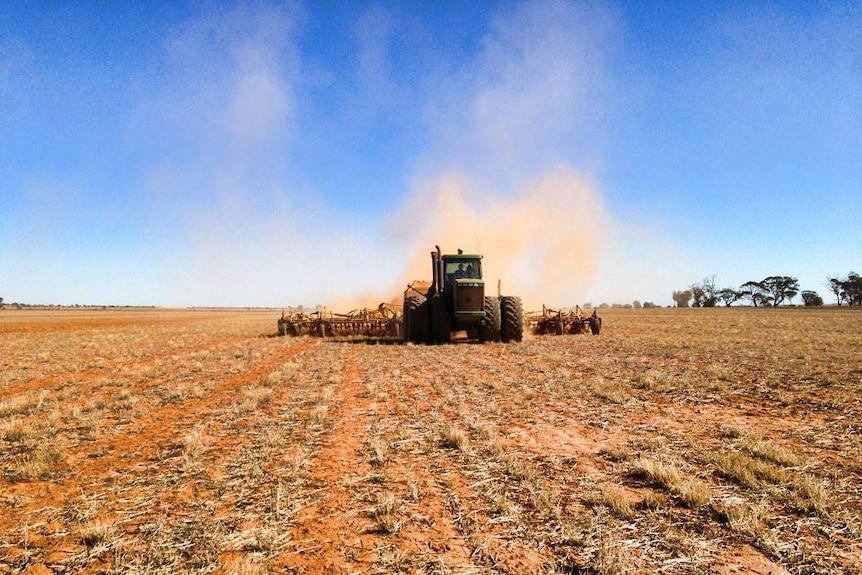 Farmers continue to seed grain crops despite the lack of rain