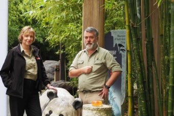 Direktur kebun binatang AdelaideElaine Benstead dan dokter hewan senior Ian Smith