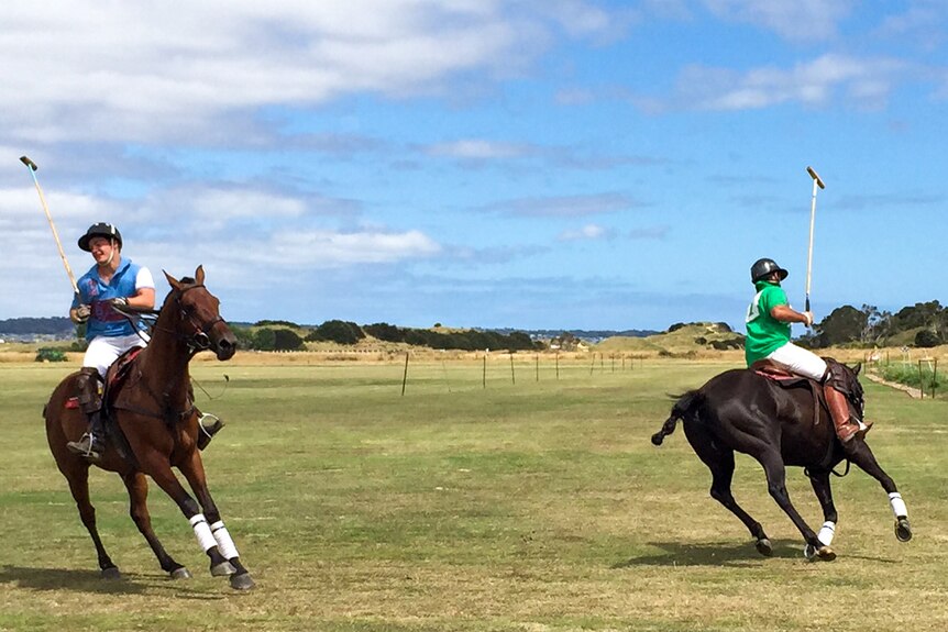 Players trial Barnbougle's polo field
