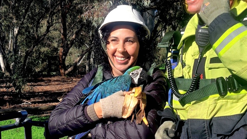 A smiling dark-haired woman holds her pet macaw, flanked by a firefighter.