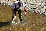 Man with bag scooping up water from creek 