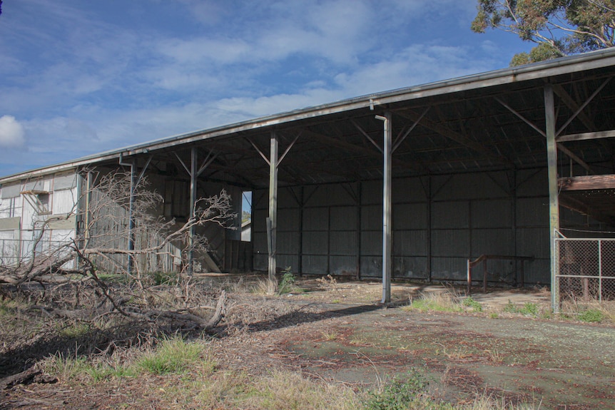 A photo of a large shed with a dead tree lying outside. 