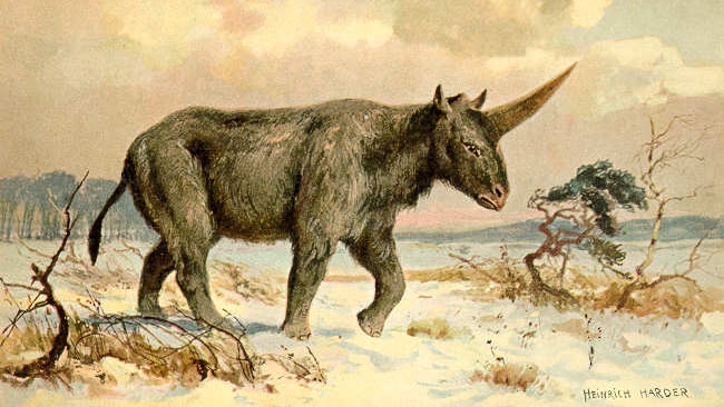 An artist's interpretation of the 'Siberian unicorn'