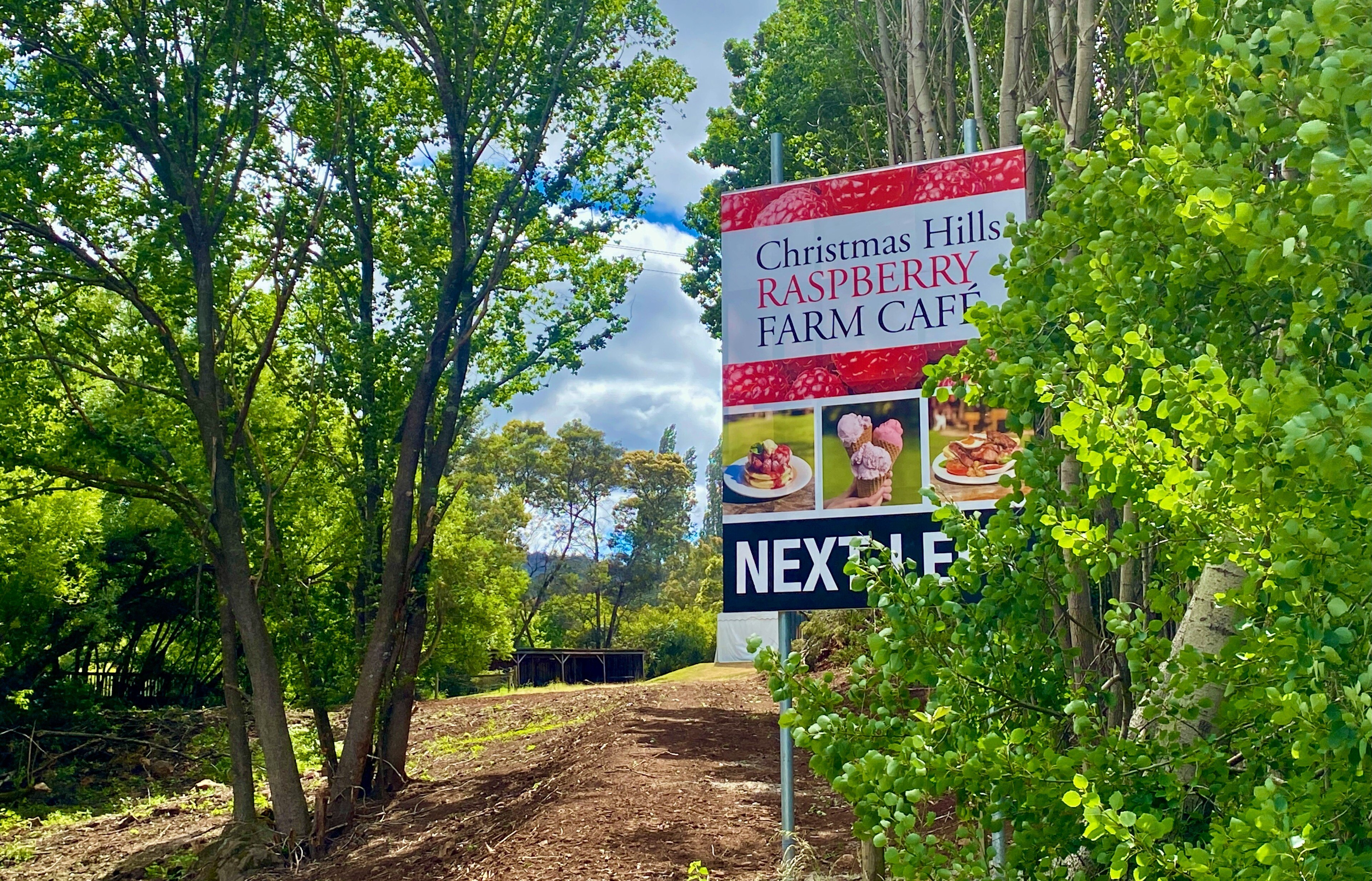 Tasmania records four new COVID19 cases, taking the total to 14 ABC News