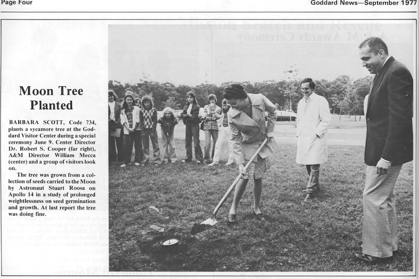 A black and white image of woman shoveling dirt with an audience.