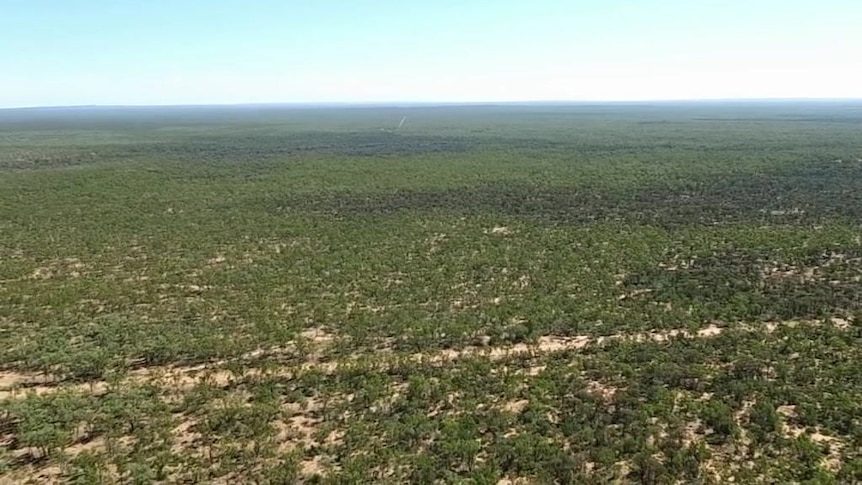 Drone vision of the proposed location for Adani's Carmichael mine