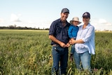 Dave and Alice Woods and their son James stand in the middle of a green, multi-species cover crop near Goondiwindi, August 2021.