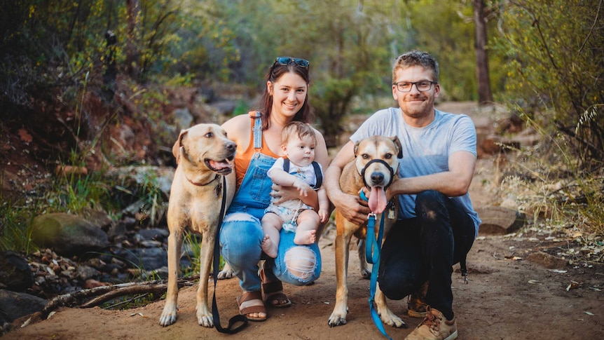 Andrew, Caity and their child pose for a photo with dogs Daisy and Duncan.