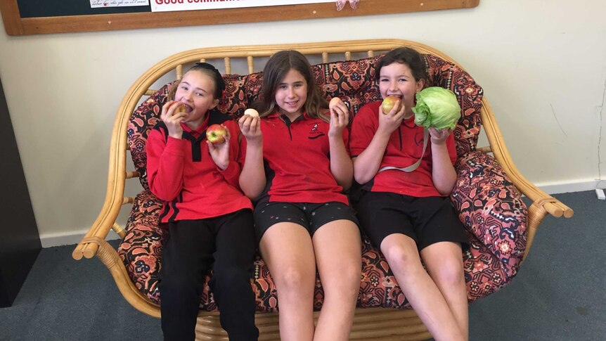 Cambrai Primary School students Emerson Reindeers, Kayla Virag and Madison Vanstone eating fruits