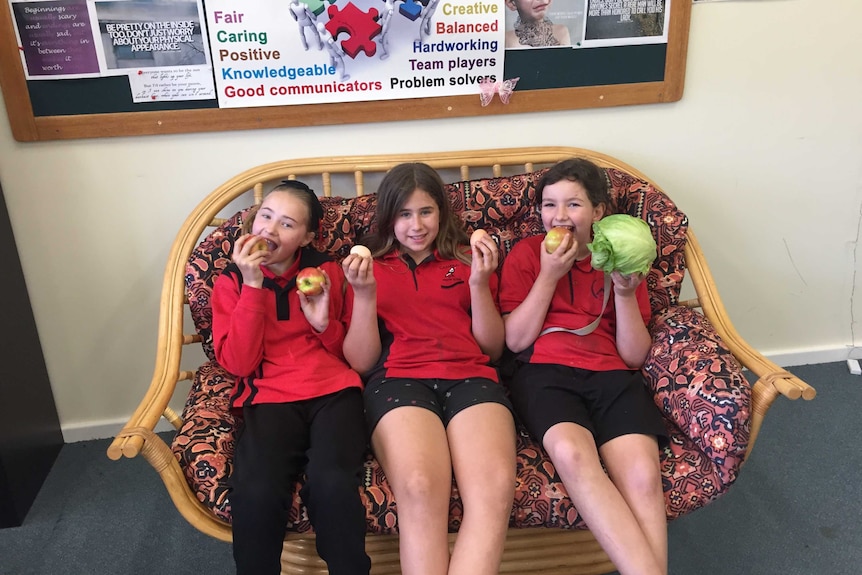 Cambrai Primary School students Emerson Reindeers, Kayla Virag and Madison Vanstone eating fruits