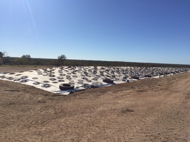 A silage pit full of sorghum covered by a sheet and kept down by more than 100 tyres.