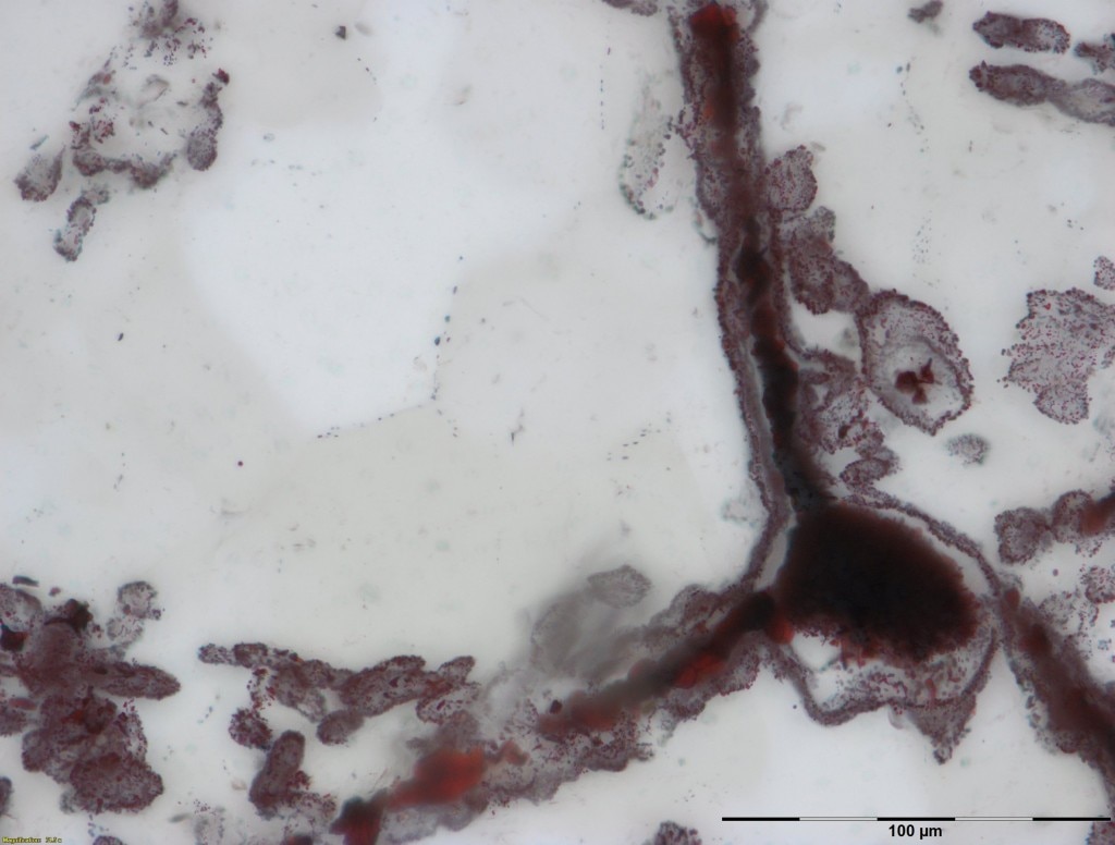 Fossilised filaments from hot ocean vent claimed to be earliest